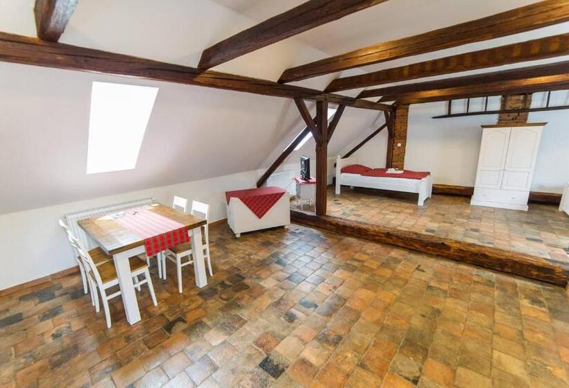 חדר סטנדרט לארבעה, Penzion U Františka