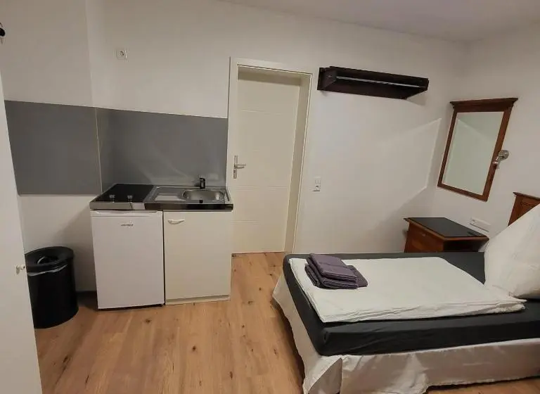 スタンダードルーム, Frankenthal City Apartment Mit Eigene Bad Und Kochmöglichkeit