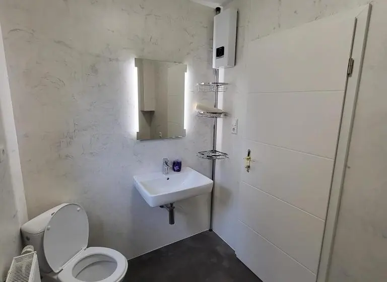 スタンダードルーム, Frankenthal City Apartment Mit Eigene Bad Und Kochmöglichkeit