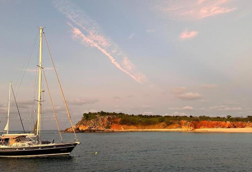 اتاق استاندارد چهار تخته, Room In Boat Undefined