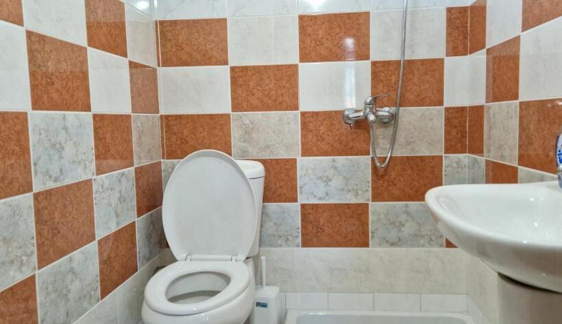 اتاق لوکس سه تخته, Shena Guest House