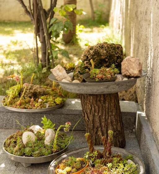 آپارتمان 1 خوابه, Apartments Nensi