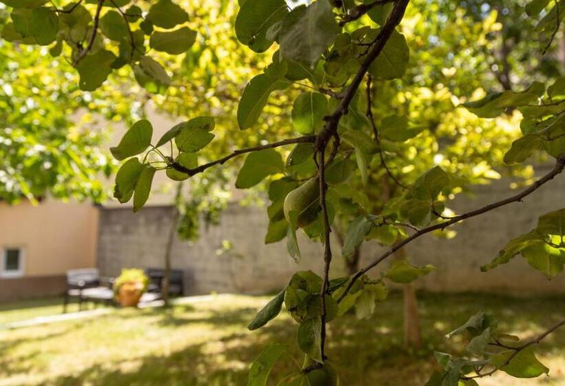 استودیوی لوکس, Apartments Nensi