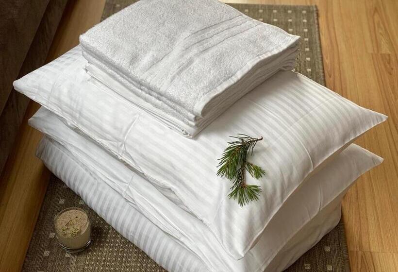 اتاق استاندارد چهارنفره با بالکن, Draugų Namai