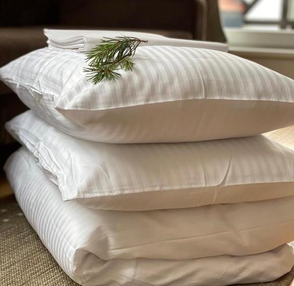 اتاق استاندارد چهار تخته, Draugų Namai