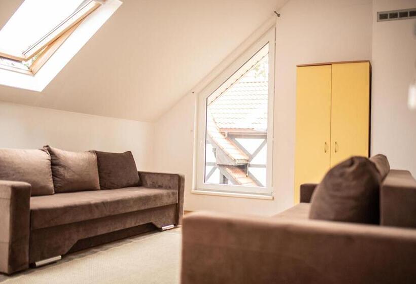 اتاق استاندارد چهار تخته, Draugų Namai