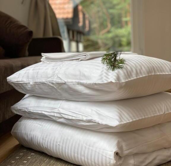 اتاق استاندارد چهار تخته با چشمانداز دریا, Draugų Namai