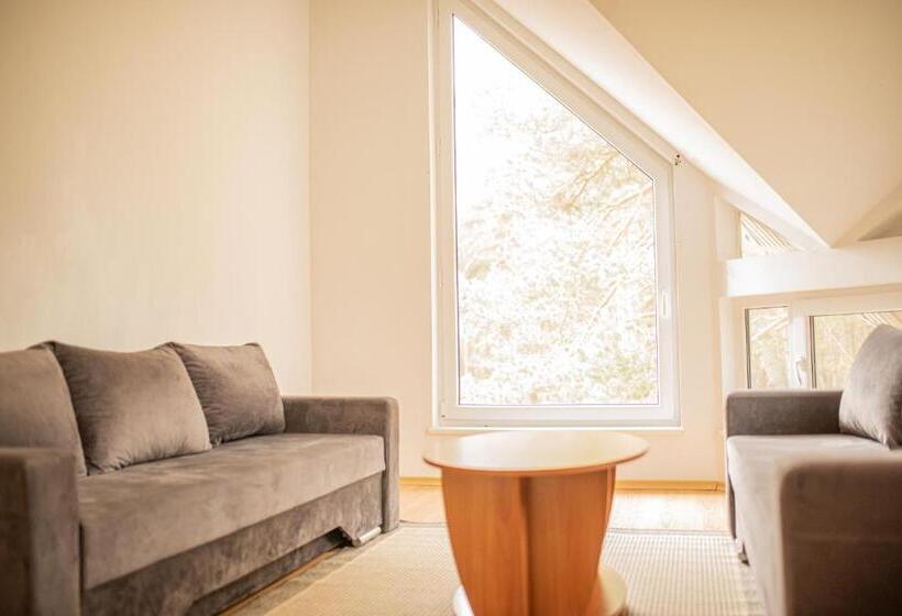 اتاق استاندارد چهار تخته با چشمانداز دریا, Draugų Namai