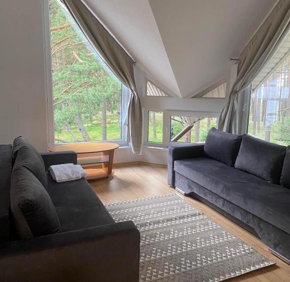 اتاق استاندارد چهار تخته با چشمانداز دریا, Draugų Namai