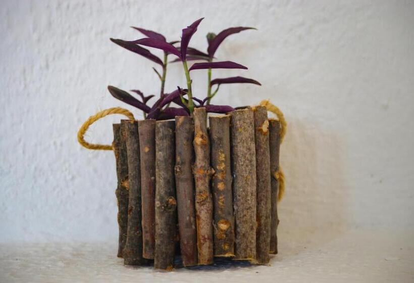 اتاق لوکس با بالکن, Haven Hills Social Club