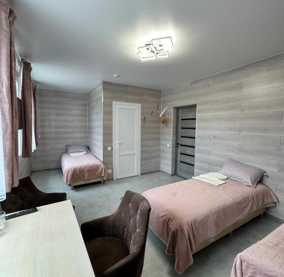 اتاق استاندارد سه نفره, Tetris Voznesensk