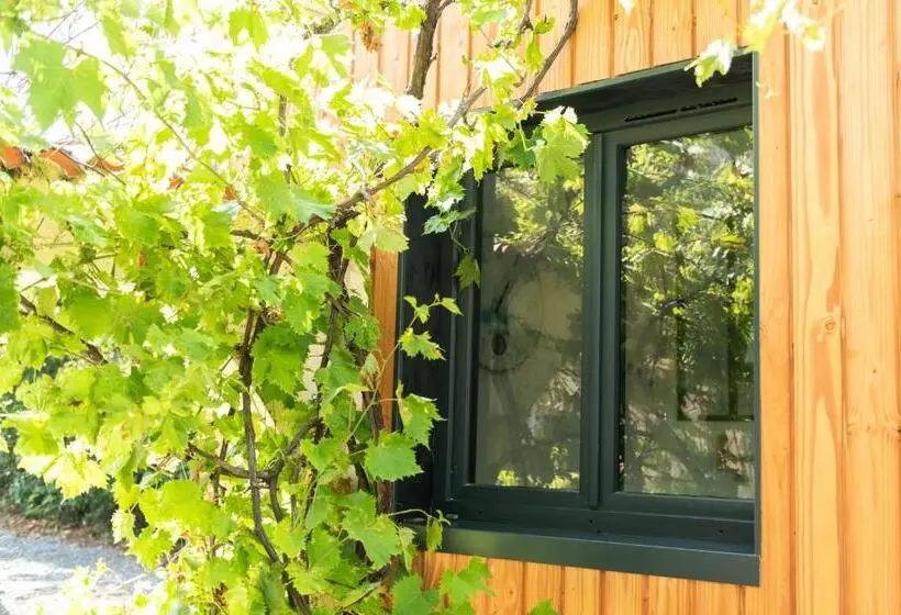 テラス付きスタンダードルーム, La Jolie Longère Fleurie Tiny House Avec Piscine Et Jardin