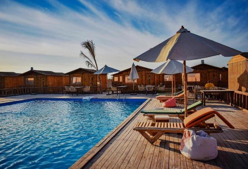 اتاق استاندارد با چشمانداز استخر, Kite Cabins Elalamein At Safy Bay