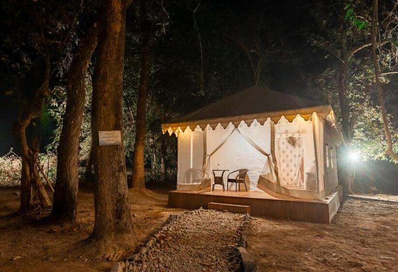 Standard Tent, Vaani Greens Resort, Kaziranga