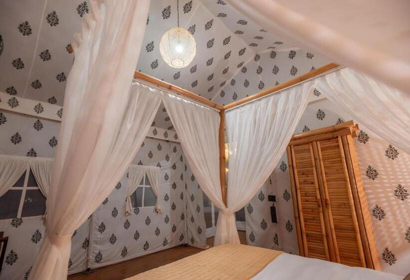 Standard Tent, Vaani Greens Resort, Kaziranga