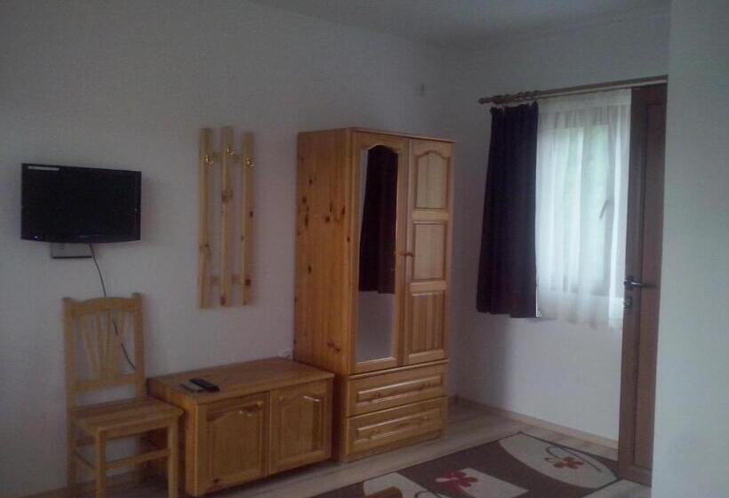 Номер Стандарт, Guest House Friends