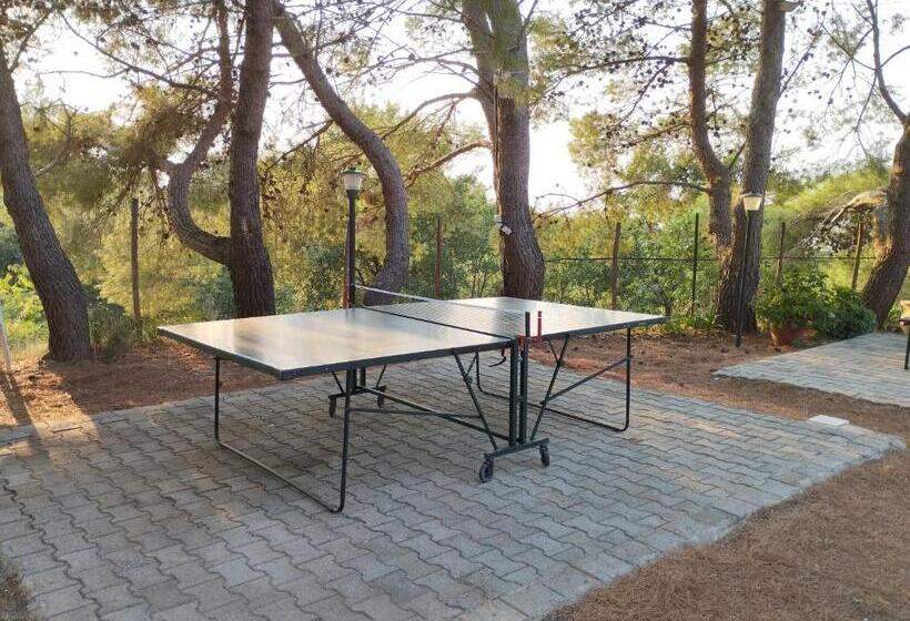 带阳台标准四人间, Agriturismo Residenza Nakelia