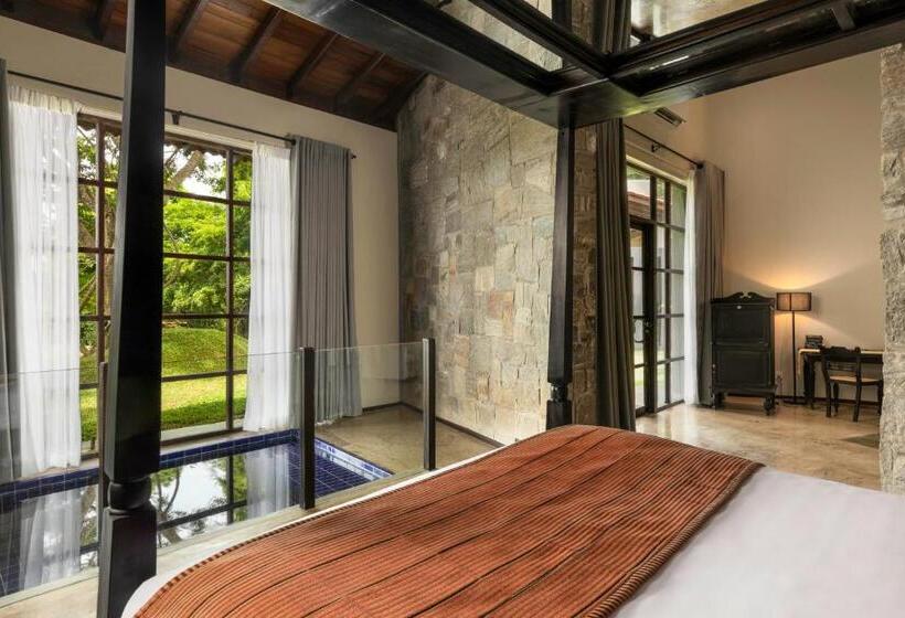 Люкс с Бассейном, Ayugiri Ayurveda Wellness Resort Sigiriya