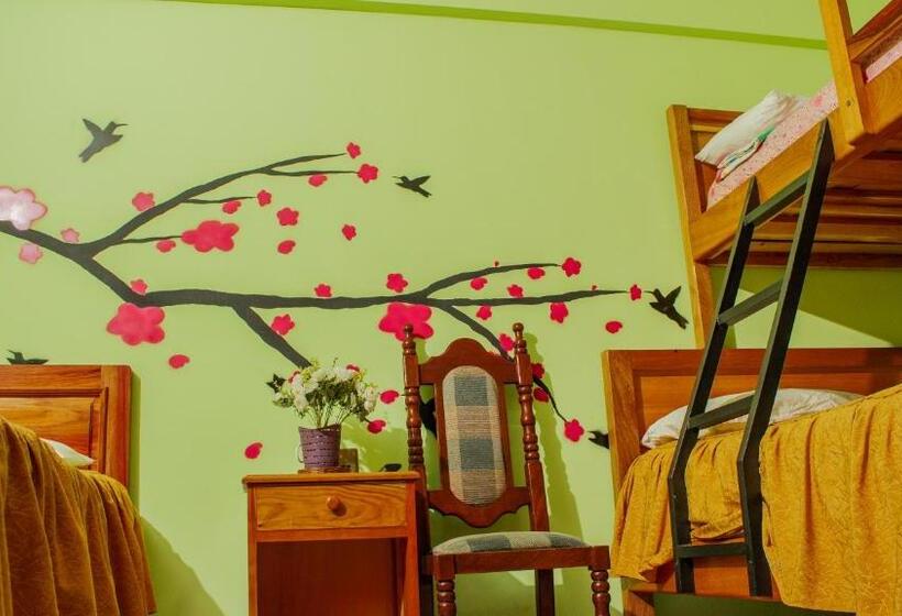 اتاق خانوادگی, Mi Angeline