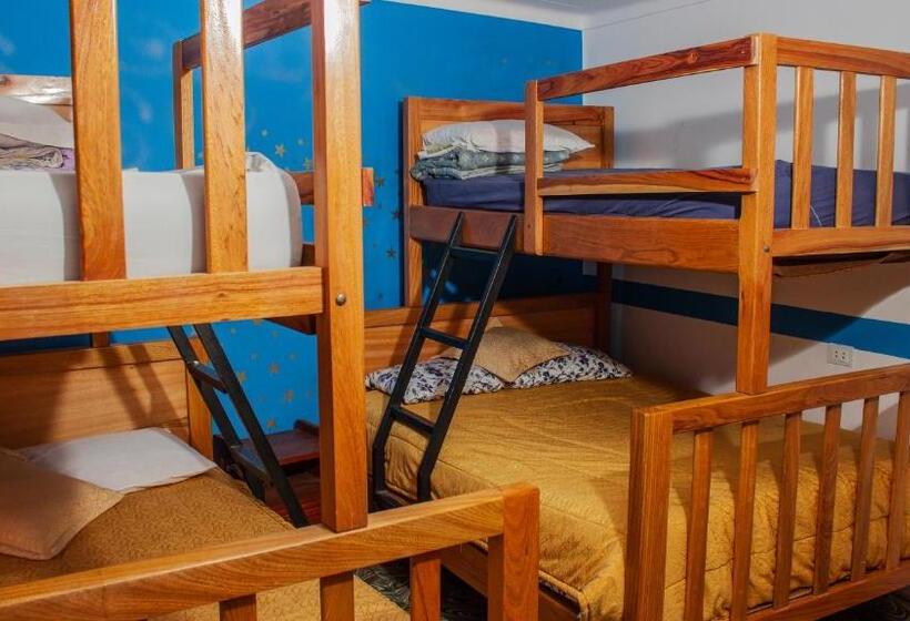 اتاق خانوادگی, Mi Angeline