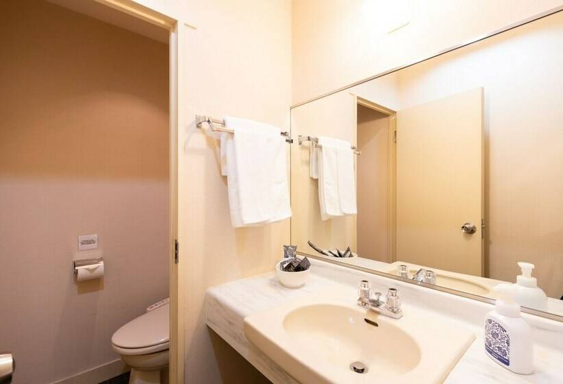 수피리어 싱글 룸, Phoenix Hotel By Hhg