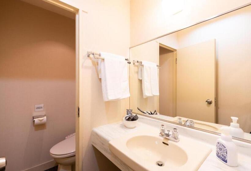 디럭스 룸, Phoenix Hotel By Hhg