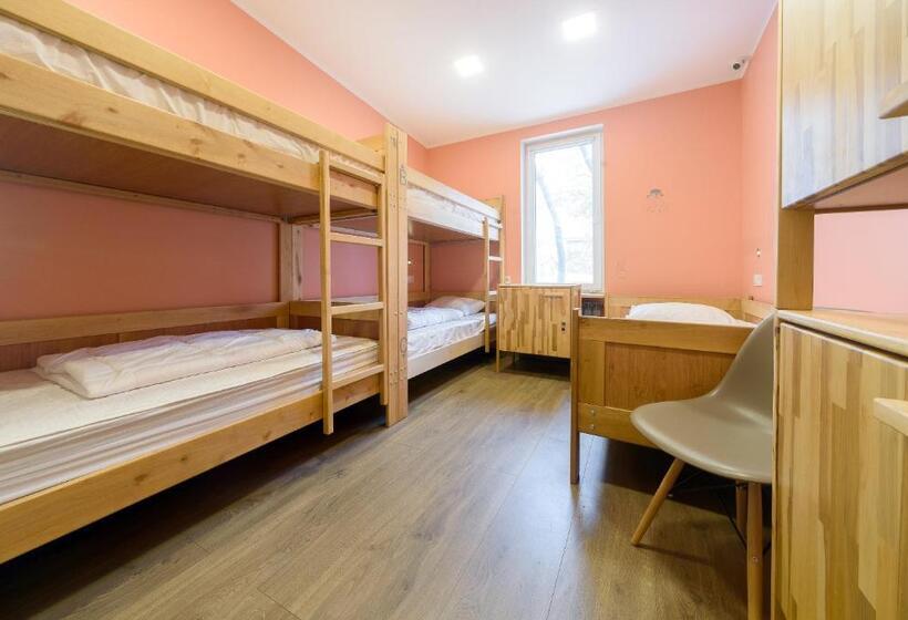 تختخواب در اتاق مشترک, Friday Hostel