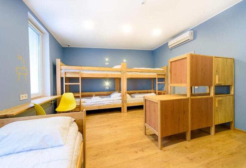 تختخواب در اتاق مشترک, Friday Hostel