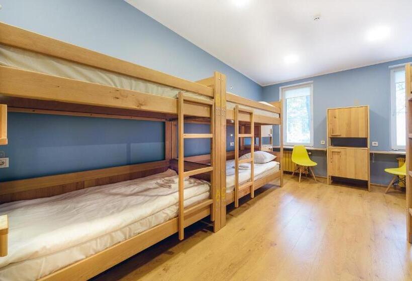 تختخواب در اتاق مشترک, Friday Hostel