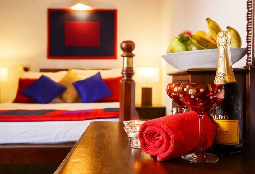 수피리어 룸, Sunrise Boutique