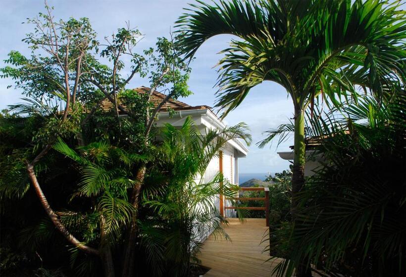 بانگلوی استاندارد با چشمانداز دریا, Gyp Sea Saint Barth