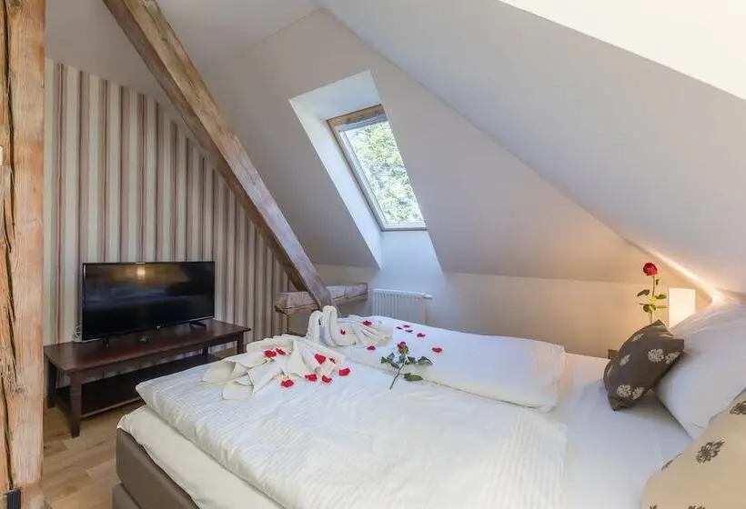 スーペリアールーム, Wellness & Spa Hotel Villa Regenhart