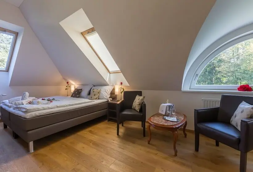 スーペリアールーム, Wellness & Spa Hotel Villa Regenhart
