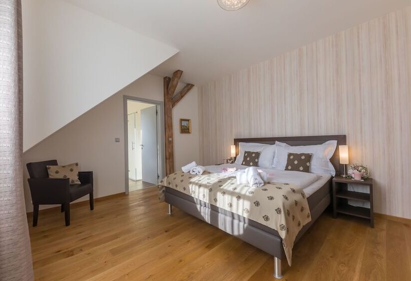 수피리어 룸, Wellness & Spa Hotel Villa Regenhart