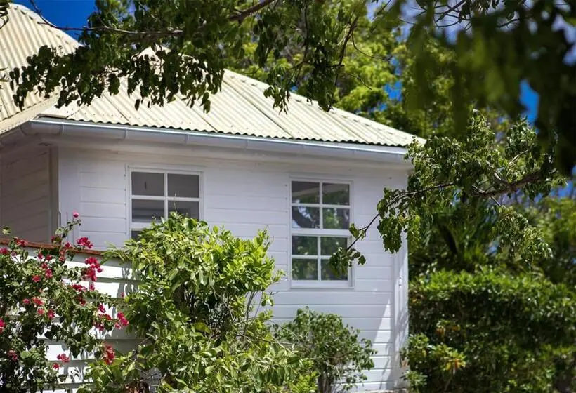 بانگلوی استاندارد با چشمانداز دریا, Gyp Sea Saint Barth