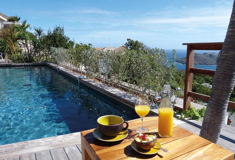 ویلای 1 خوابه با چشمانداز دریا, Gyp Sea Saint Barth