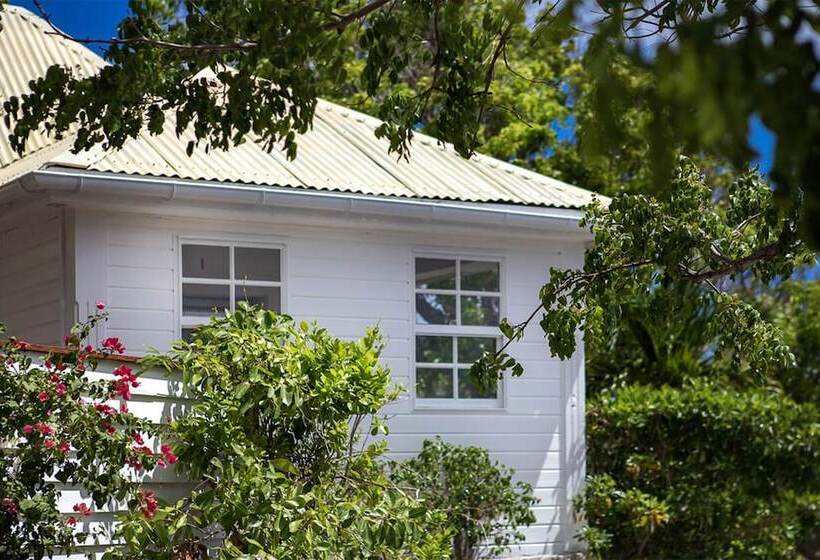 بانگلوی استاندارد, Gyp Sea Saint Barth