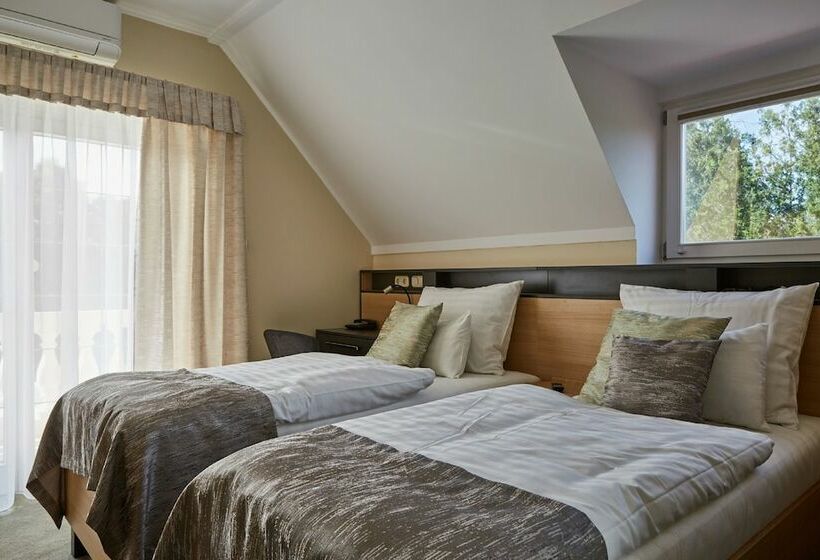 Pokój Standard z Balkonem, Gold House Pension