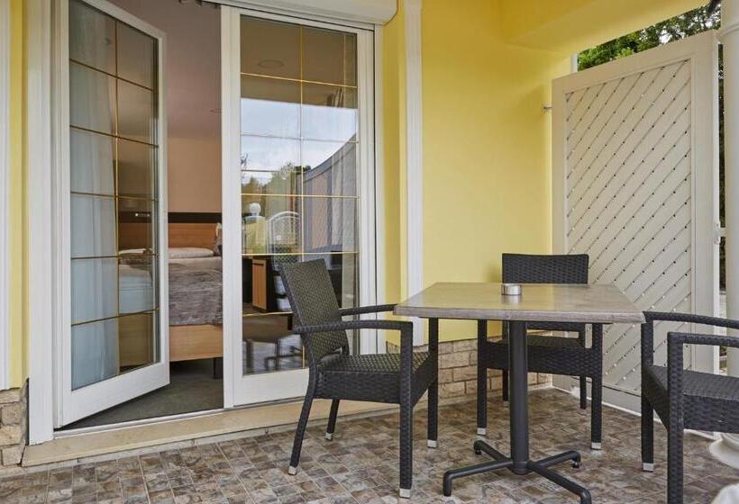 Pokój Typu Standard Przystosowany dla Osób Niepełnosprawnych, Gold House Pension