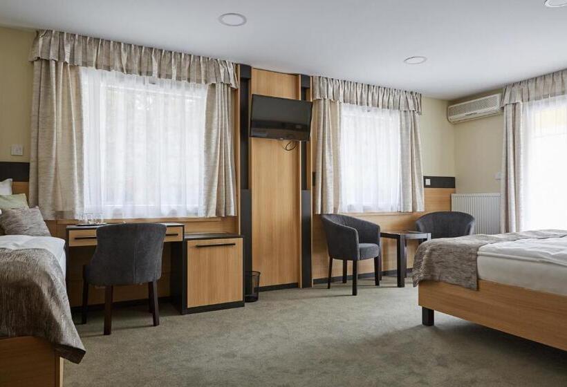 Pokój Typu Standard Przystosowany dla Osób Niepełnosprawnych, Gold House Pension