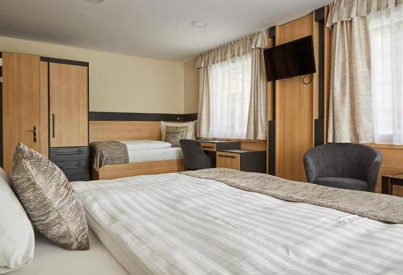 Pokój Typu Standard Przystosowany dla Osób Niepełnosprawnych, Gold House Pension