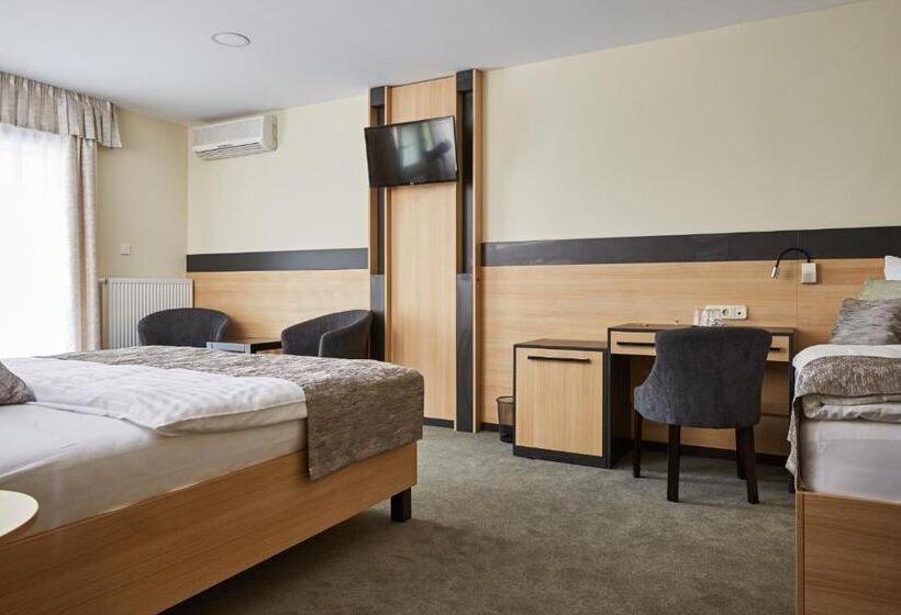 Pokój Superior, Gold House Pension