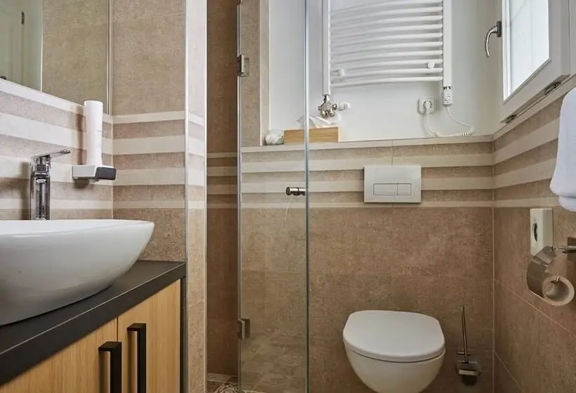 Superior-huone, Gold House Pension