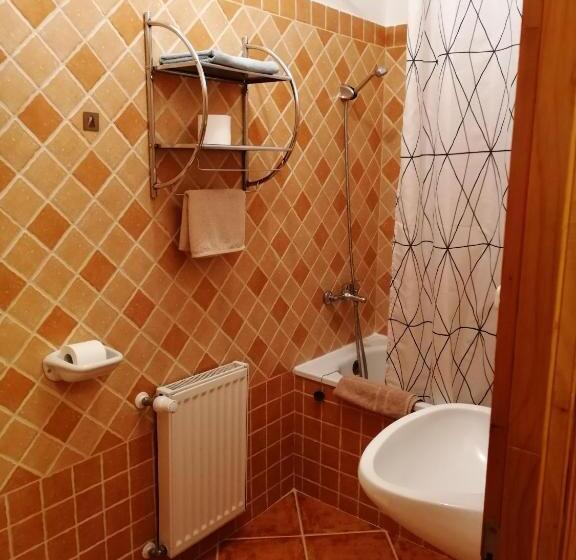 Четырехместный Номер Стандарт, Karpatia Panzio