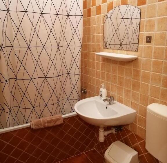 Номер Basic, Karpatia Panzio