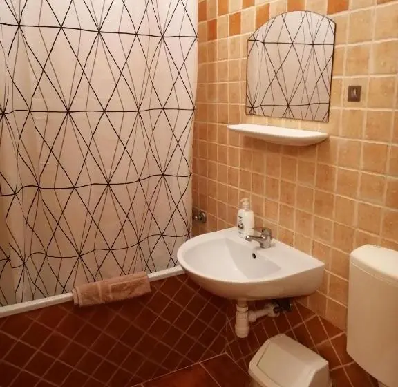 Basic-huone, Karpatia Panzio