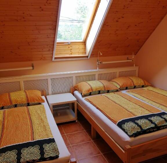 Номер Стандарт, Karpatia Panzio