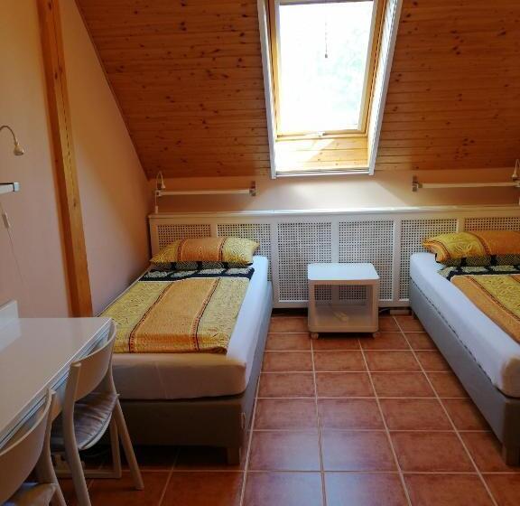 Номер Стандарт Индивидуальный, Karpatia Panzio