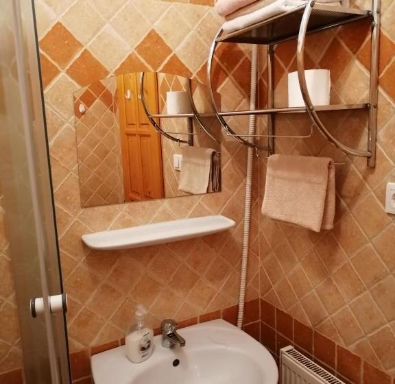 Номер Стандарт Трехместный, Karpatia Panzio