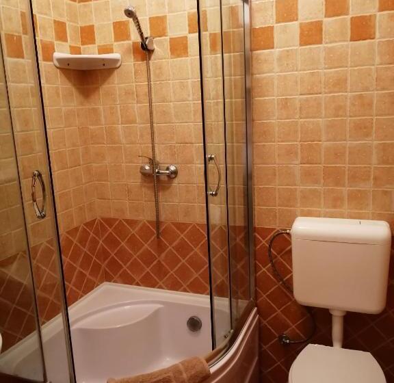 Номер Стандарт Трехместный, Karpatia Panzio